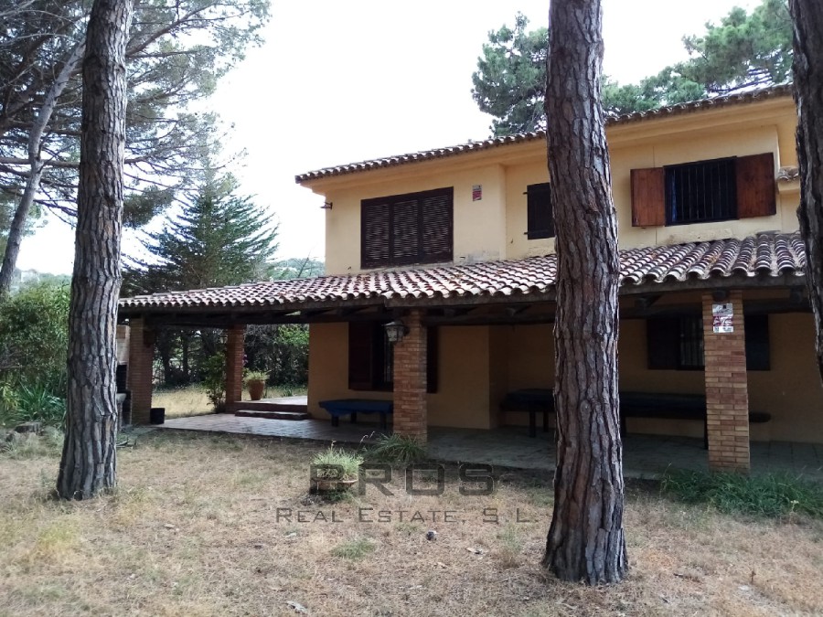 CASA RÚSTICA CON GRAN PINAR CERCA DE LA PLAYA